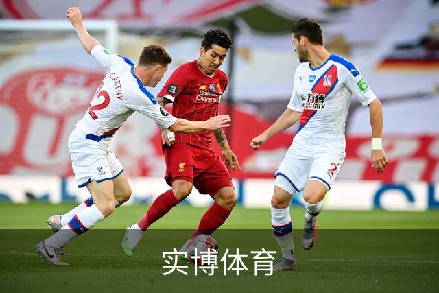 实博体育公司简介图片